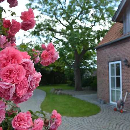 Räucherhäuschen * Fehmarn