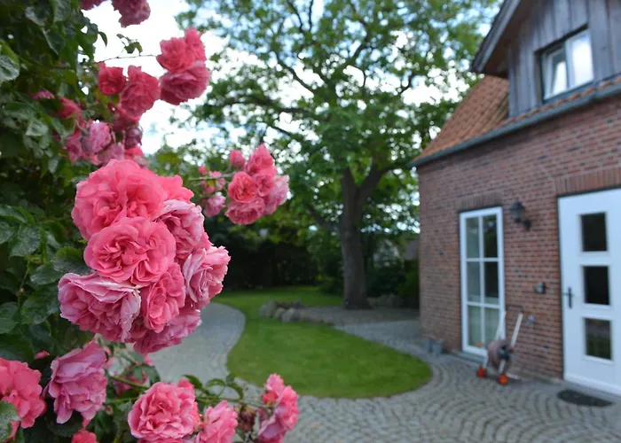 Raeucherhaeuschen * Fehmarn